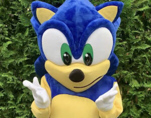 Hire Sonic The Hedgehog